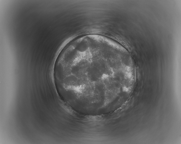 X0000111170147200907291130