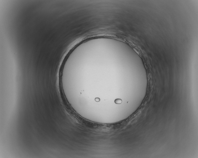 X0000111170148200907291130