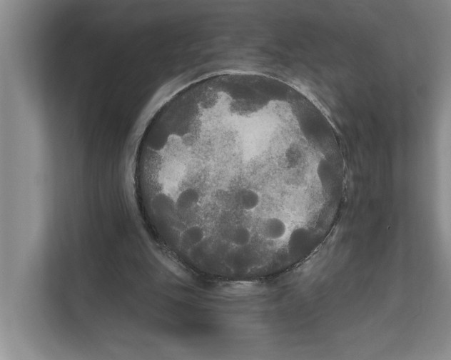 X0000111170151200907291130