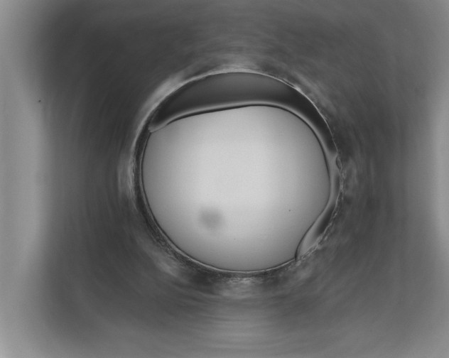 X0000111170152200907291130