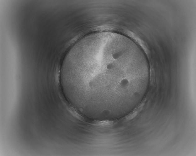 X0000111170153200907291130