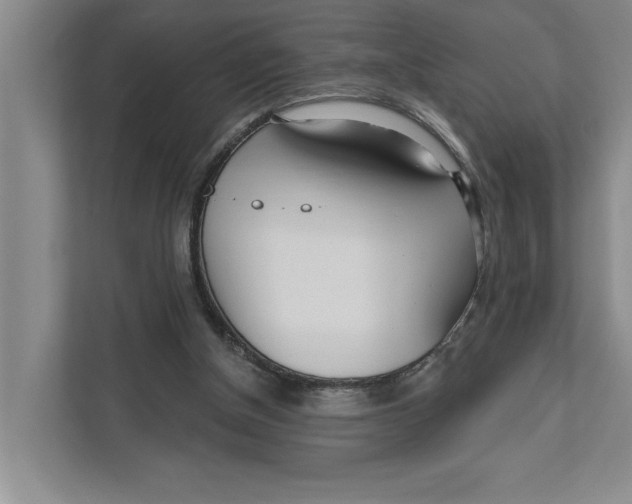 X0000111170154200907291130