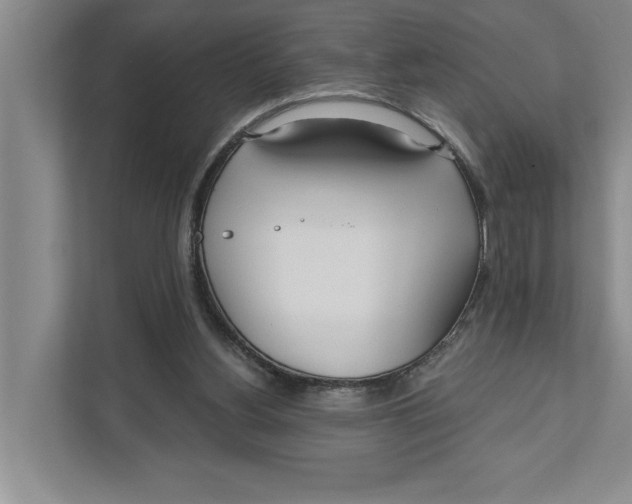 X0000111170156200907291130