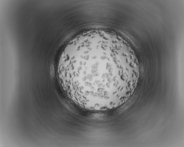 X0000111170158200907291130