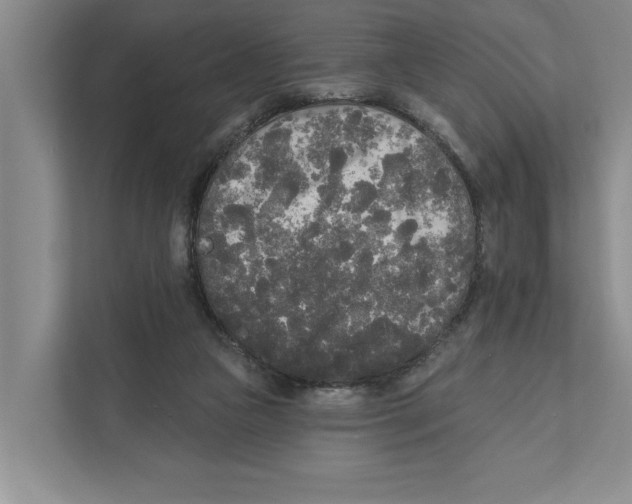 X0000111170161200907291130