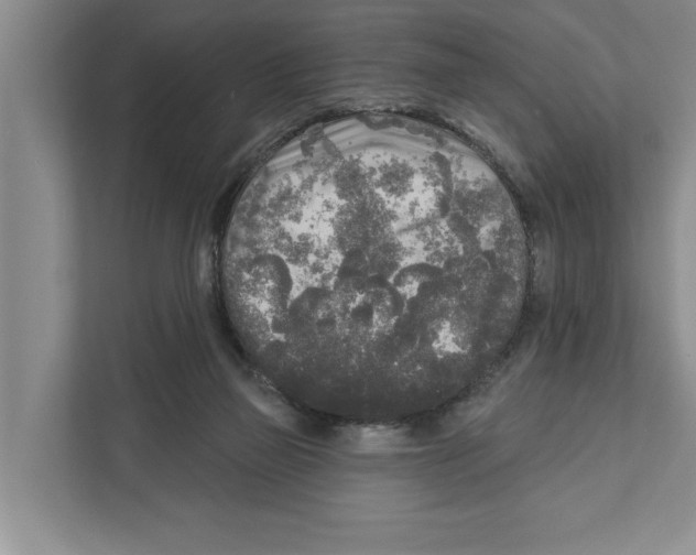 X0000111170165200907291130