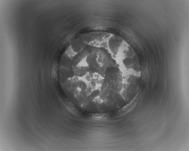 X0000111170175200907291130