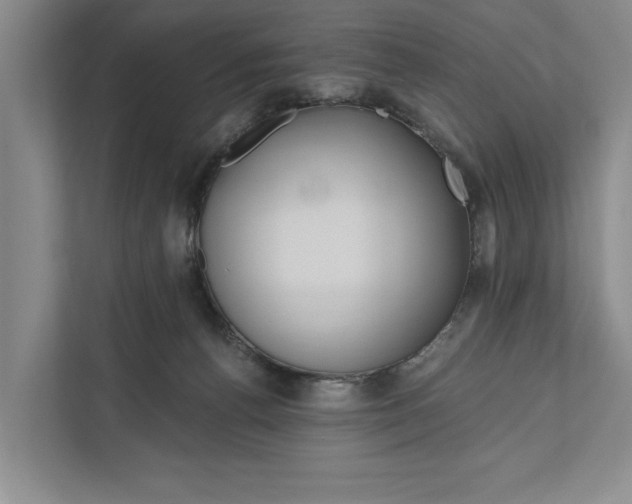 X0000111170176200907291130