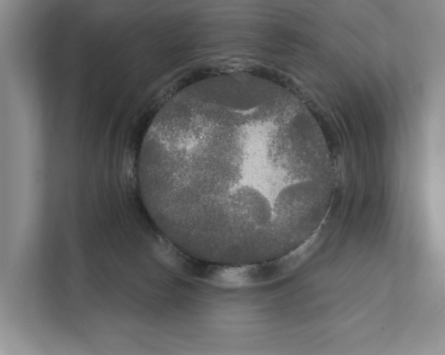 X0000111170178200907291130