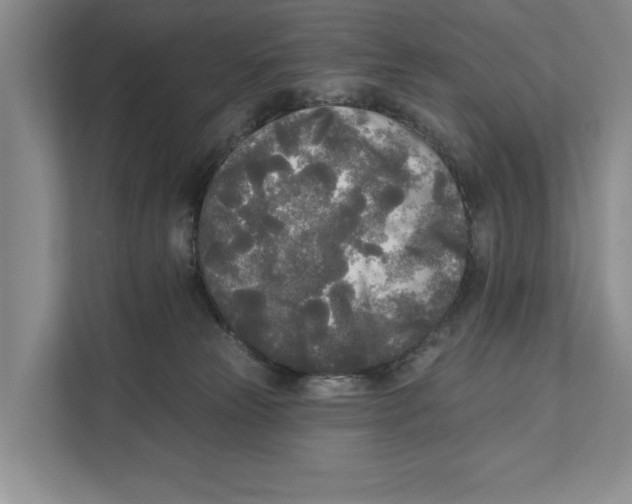 X0000111170181200907291130