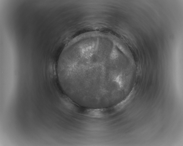 X0000111170182200907291130