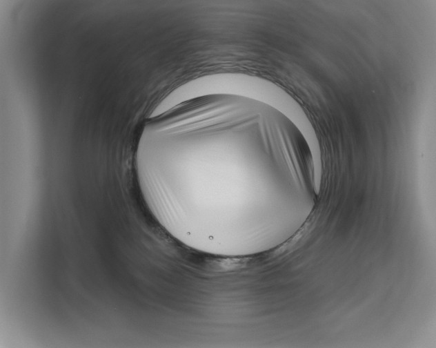 X0000111170184200907291130