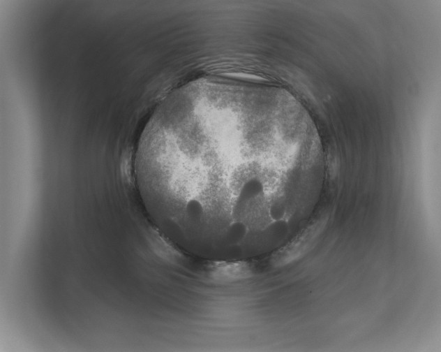 X0000111170185200907291130