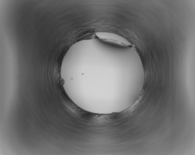 X0000111170186200907291130