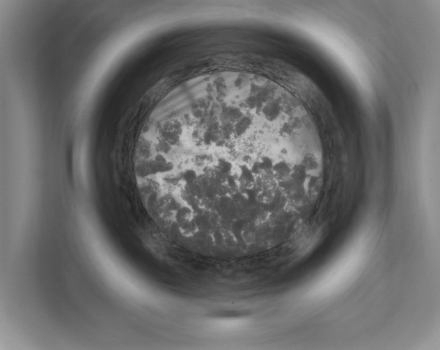 X0000111170189200907291131