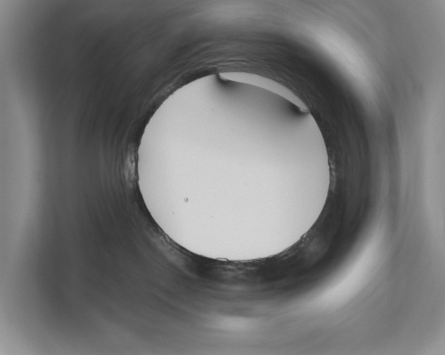 X0000111170190200907291131