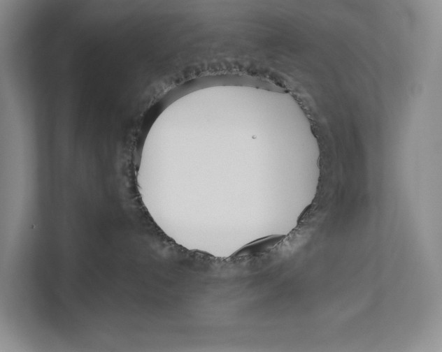 X0000111170192200907291131