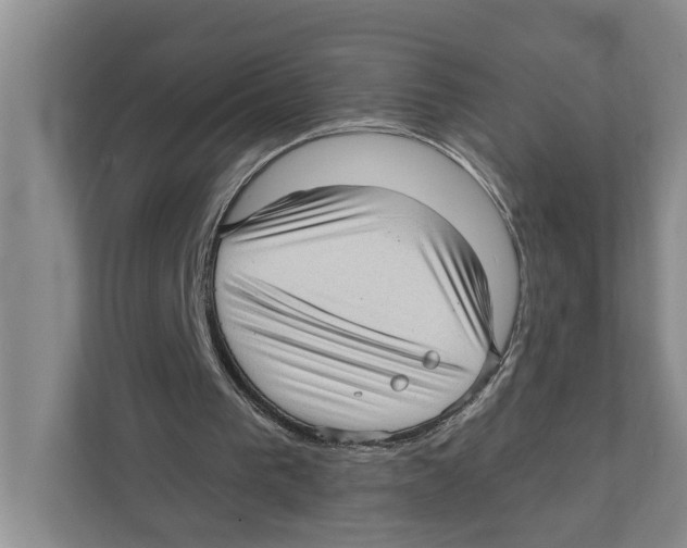 X0000111170193200907291130