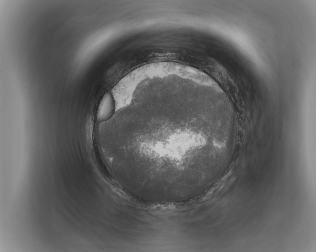 X0000111170194200907291130