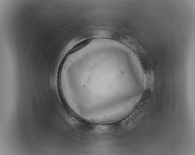 X0000111170195200907291130