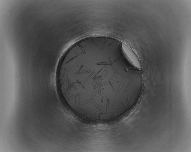 X0000111170196200907291130