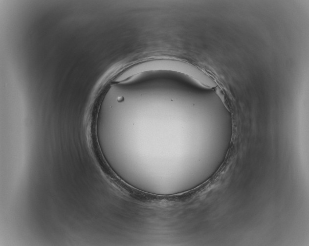 X0000111170197200907291130