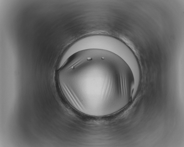 X0000111170201200907291130