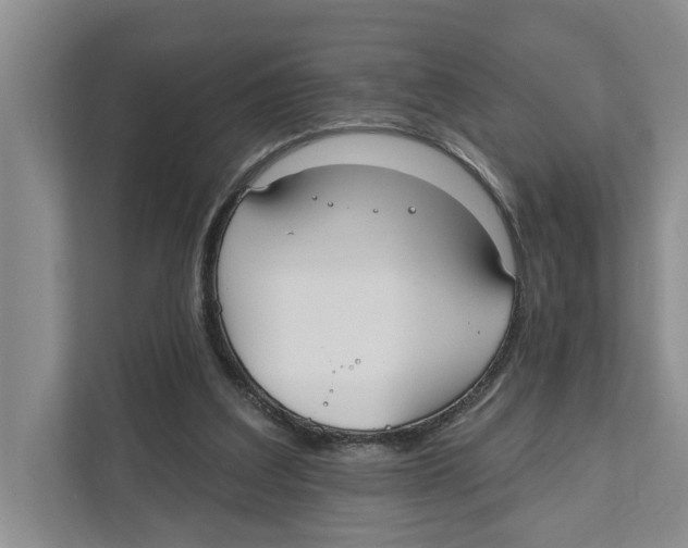 X0000111170203200907291130