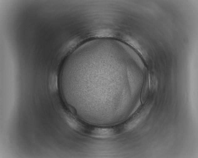 X0000111170205200907291130