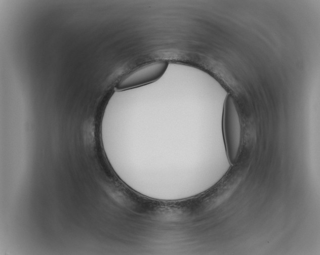 X0000111170207200907291130