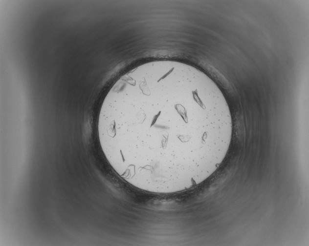 X0000111170208200907291130
