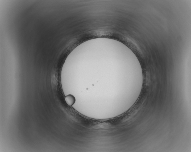 X0000111170210200907291130