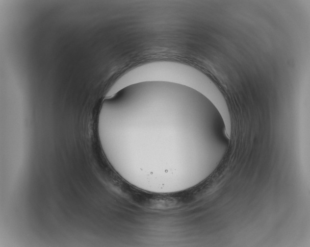 X0000111170215200907291130