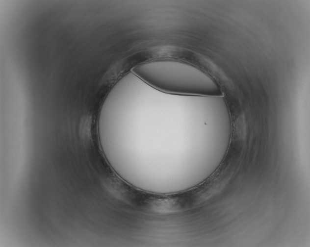 X0000111170217200907291130