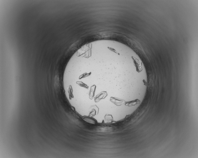 X0000111170220200907291130
