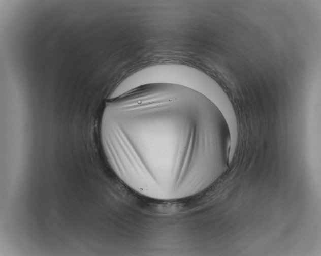 X0000111170225200907291130