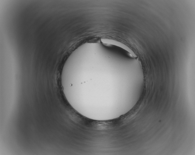 X0000111170229200907291129