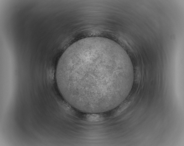 X0000111170230200907291129