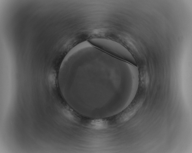 X0000111170231200907291129