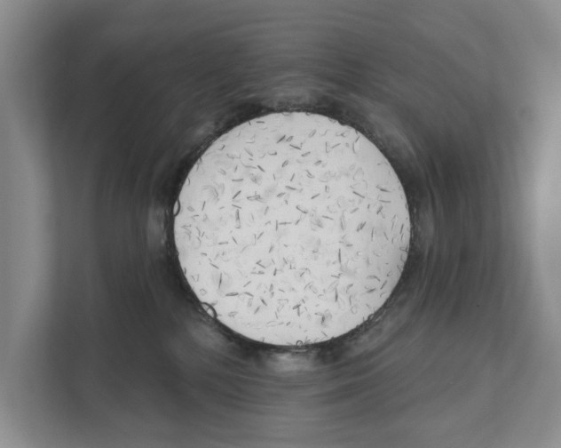 X0000111170232200907291129