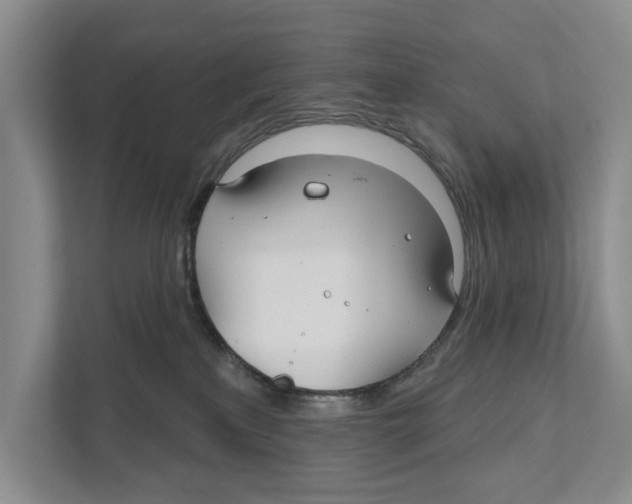 X0000111170233200907291129