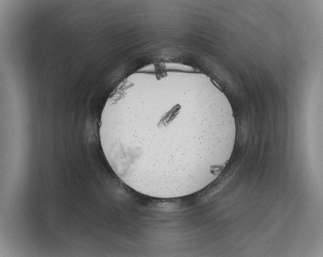 X0000111170236200907291129