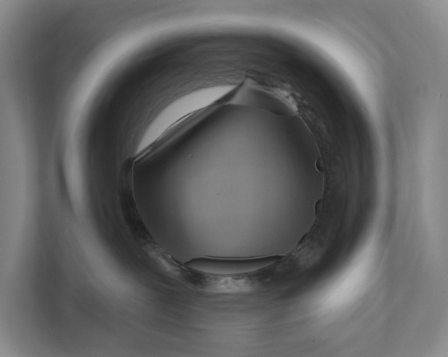 X0000111170239200907291129