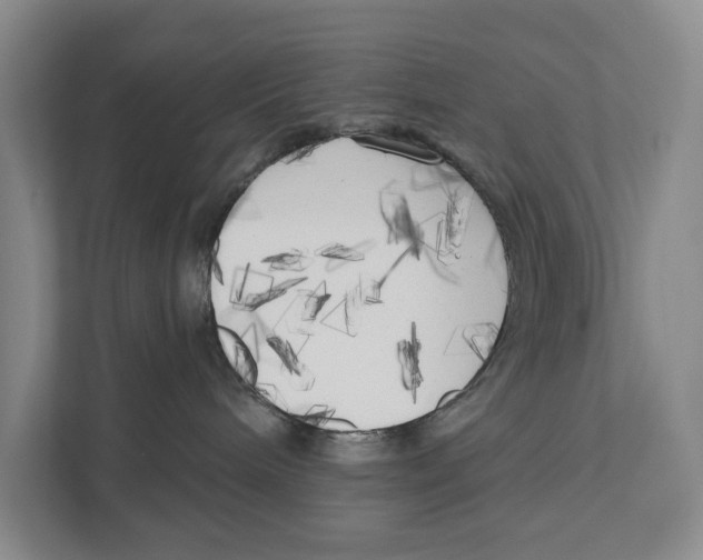 X0000111170240200907291129