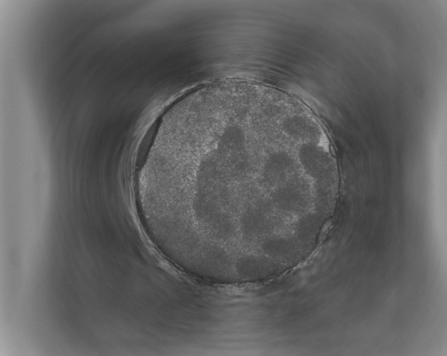 X0000111170241200907291129