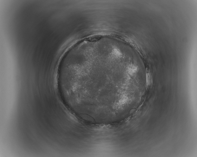 X0000111170243200907291129
