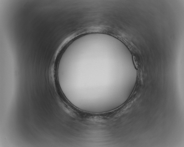 X0000111170244200907291129