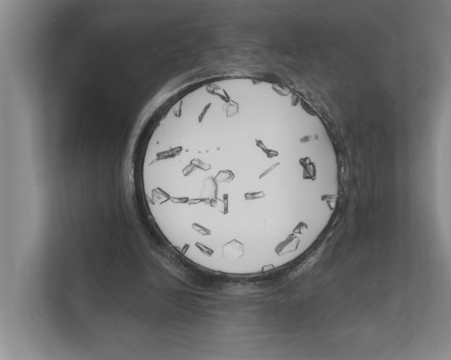 X0000111170246200907291129