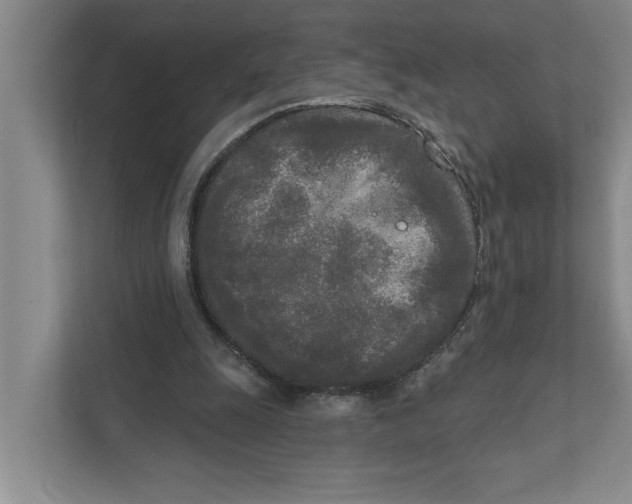 X0000111170247200907291129