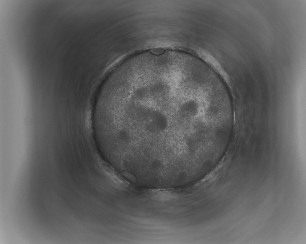 X0000111170249200907291129